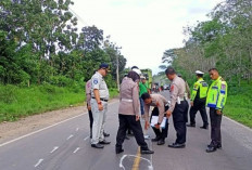 Maut di Jalur Raya Muaradua-Baturaja : Dua Korban Tewas Dalam Kecelakaan Tragis Isuzu Vs Vario !