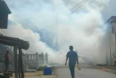 Cegah Merebaknya DBD, Pemdes Pedamaran 1 Bersama Puskesmas Gelar Fogging
