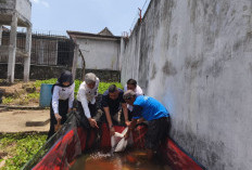 Dukung Ketahanan Pangan, Rutan Baturaja Laksanakan Pelepasan Bibit Ikan Lele