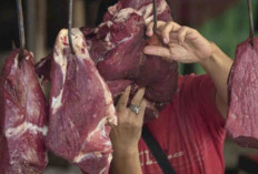 Harga Pangan 18 Desember 2024 : Harga Daging Sapi Turun Menjadi Rp130.880 per Kilogram !