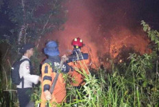 Kebakaran Lahan Gambut Landa Desa Sungai Rambutan Ogan Ilir: 2 Hektare Terbakar