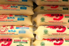 Tahu Jepang: Kuliner Kekinian yang Menyajikan Sensasi Gurih dan Renyah