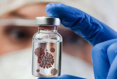 Asal Usul Virus Nipah yang Kini Mengancam Dunia