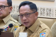 Presiden Pilih 20 Februari 2025 untuk Pelantikan Kepala Daerah