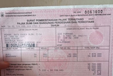 Tingkatkan Kesadaran Pajak: Pemkab OKU Selatan Hadiahi Warga Taat Pajak dengan Umrah Gratis !