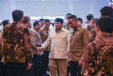 Siapkan Utusan Khusus Awasi BUMN