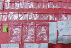 Polres OKI Sita Sabu 33 Paket dan Ekstasi dari Pengedar di Desa Pedu Jejawi   