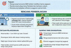Mendagri Minta Pemda Efisiensi Cegah PHK PPPK