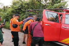 Setelah Melarikan Diri dari Pos : Begini Kondisi Karyawan Tambang Batu Bara yang Berhasil Ditemukan !   
