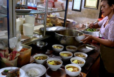 Omega 3 dari Ikan Laut dan Tawar, Mana yang Lebih Baik?