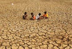 El Nino 'Godzilla' Berpotensi Picu Dehidrasi, Heat Stroke, hingga DBD pada Anak