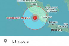 Gempa 5.6 SR Guncang Bengkulu Selatan,  Dampaknya Terasa Hingga ke Kota Lubuklinggau 