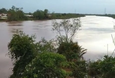 10 Kilometer Sungai Dawas Tercemar Minyak : Forkopimda Muba Desak Pemerintah Pusat Turun Tangan !