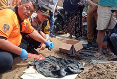 Heboh Penemuan Tulang Dalam Plastik Hitam di 16 Ulu Palembang