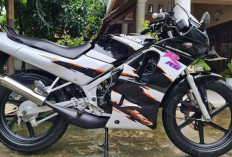 Mengenang Suzuki RGR 150 : Motor Sport 2-Tak Legendaris yang Dijuluki Setan Jalan Raya, RX King Minggir !