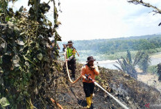 BPBD OKU Selatan Padamkan Karhutla di Bumi Agung