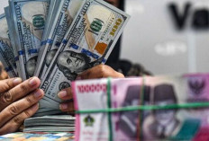 Update ! Kurs Rupiah 16 Desember 2024 : Melemah 16 Poin Menjadi Rp16.025 