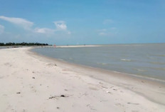 Tak Kalah dengan Pantai di Lampung : Tanjung Menjangan Surga di Pesisir OKI dengan Keindahan Pasir Putih !