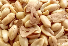 Kacang Goreng, Camilan Gurih dan Renyah yang Selalu Jadi Favorit Masyarakat