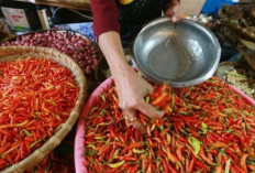 Harga Pangan 13 Agustus 2025: Cabai Rawit Rp43.879, Bawang Merah Rp47.008 per Kilogram !