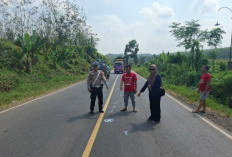 Tabrak Avanza, Pengendara Yamaha Nmax Tewas Terlintas Isuzu Traga
