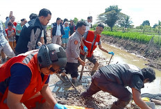 Heboh Mayat Pria Tertelungkup di Sawah Sambil Pegang Alat Setrum Ikan    