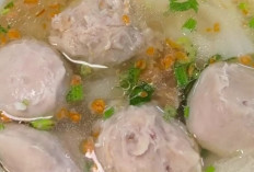 Bakso Gepeng : Kreasi Unik yang Ubah Tampilan, Perkaya Sensasi Rasa