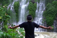 Curup Maung: Surga Tersembunyi 80 Meter di Pelukan Hutan Pagaralam !