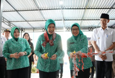 TP PKK Sumsel Memperkuat UMKM dan Evaluasi Program