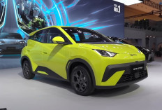 Era Baru City Car: BYD Atto 1 Menantang Dominasi Honda Brio, Siap Jadi Mobil Harian Favorit !