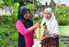 Polsek Tanjung Raja Bagi-Bagi Jagung ke Warga