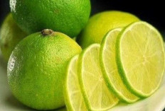 Tips Membersihkan Alat Masak yang Berminyak Agar Kembali Kinclong dan Higienis