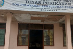 Dinas Perikanan OKU Tebar 210 Ribu Benih Ikan di Sungai Ogan