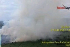 BPBD Sumsel Kerahkan 6 Helikopter Padamkan Karhutla di Tiga Kabupaten