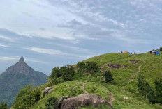 4 Jam dari Palembang : Menikmati Pesona Negeri di Atas Awan Sumatera Selatan ! 