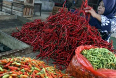 Harga Pangan 8 November 2025: Cabai Rawit Naik ke Rp41.650, Telur Ayam Bertahan di Rp31.400 !