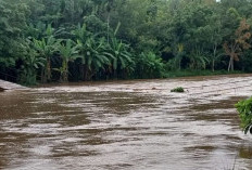 Pemkab OKU Timur Prioritaskan Perbaikan Jembatan Gantung yang Putus Akibat Banjir