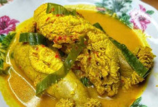 Kuliner Lezat Telur Ikan Tenggiri Kenikmatan Laut yang Penuh Gizi