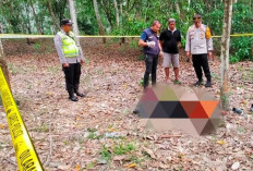 Pencurian Jengkol Berujung Tragedi di Musi Rawas : Pelaku Tewas Dikeroyok Pemilik Kebun !