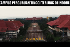 10 Kampus Perguruan Tinggi Paling Luas di Indonesia :  Juaranya Bukan IPB Bogor Apalagi ITB Bandung !
