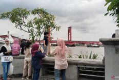 Pemkot Palembang Jalankan Program Buka Lowongan Kerja