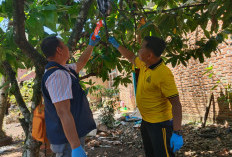  IRT di Lubuklinggau Histeris Temukan Suaminya Dalam Kondisi Begini! 