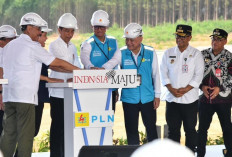 Hadirkan 100 Persen Energi Bersih, Presiden  Groundbreaking Pembangunan PLTS PLN 50 MW di IKN