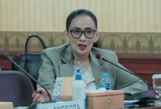 DPR Ingatkan Peran TNI Jaga Demokrasi