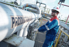 Produksi Minyak PEP Limau Field Meningkat Signifikan, Tembus 5.102 Barel per Hari Dukung Ketahanan Energi 