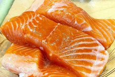 Ikan Salmon : Makanan Super yang Memberikan Banyak Manfaat untuk Kesehatan