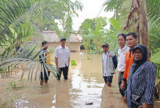 Banjir Rendam 5 Desa di OKU Timur 