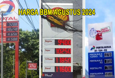 Harga BBM Nonsubsidi Naik per Agustus 2024 : Pertamax di Angka Rp12.950 per Liter, Berikut Daftar Lengkapnya !