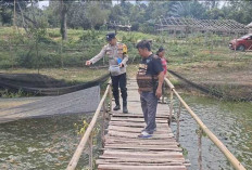  Dukung Ketahanan Pangan Lewat Budidaya Cabai dan Ikan Nila