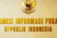 Revisi UU P2SK Tegaskan Penguatan Sektor Keuangan Tanpa Ganggu Independensi Bank Indonesia